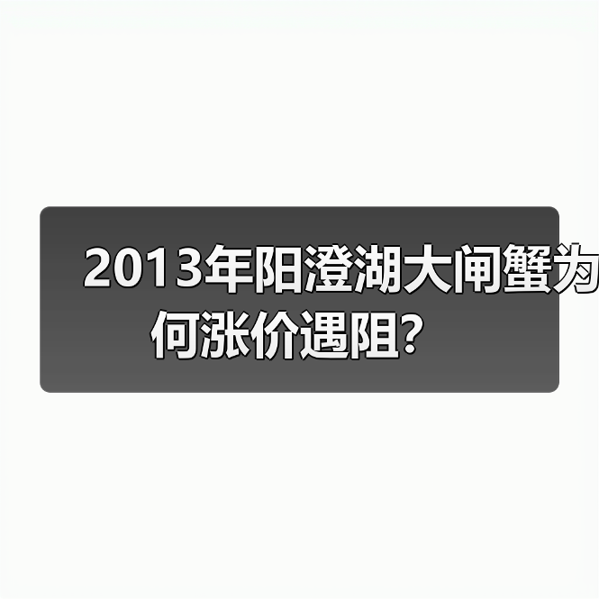 2013年阳澄湖大闸蟹为何涨价遇阻？（图2）