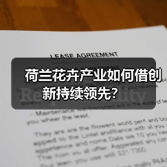荷兰花卉业为何能领跑全球?创意产业链揭秘-辰飞雨绿源新宇生物 荷兰花卉业为何能领跑全球?创意产业链揭秘-辰飞雨绿源新宇生物