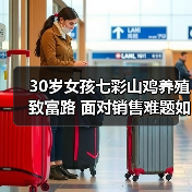 30岁女孩七彩山鸡养殖致富路 面对销售难题如何破局?(图3) 30岁女孩七彩山鸡养殖致富路 面对销售难题如何破局?(图3)