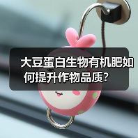 大豆蛋白生物有机肥如何提升作物品质？（图4）