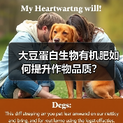 大豆蛋白生物有机肥如何提升作物品质？（图1）
