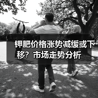 钾肥价格涨势减缓或下移?市场走势分析(图2) 钾肥价格涨势减缓或下移?市场走势分析(图2)