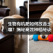 生物有机肥如何改善土壤?揭秘高效种植秘诀(图1) 生物有机肥如何改善土壤?揭秘高效种植秘诀(图1)