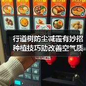 行道树防尘减霾有妙招 种植技巧助改善空气质量(图3) 行道树防尘减霾有妙招 种植技巧助改善空气质量(图3)