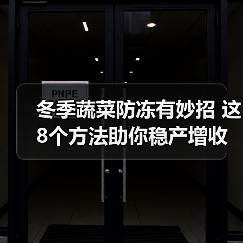 冬季蔬菜防冻有妙招 这8个方法助你稳产增收(图4) 冬季蔬菜防冻有妙招 这8个方法助你稳产增收(图4)