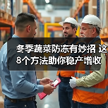 冬季蔬菜防冻有妙招 这8个方法助你稳产增收(图2) 冬季蔬菜防冻有妙招 这8个方法助你稳产增收(图2)
