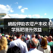 硝酸钾助农增产丰收 科学施肥提升效益(图1) 硝酸钾助农增产丰收 科学施肥提升效益(图1)