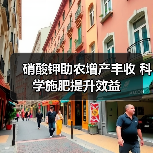 硝酸钾助农增产丰收 科学施肥提升效益(图3) 硝酸钾助农增产丰收 科学施肥提升效益(图3)
