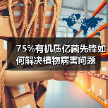 75%有机质亿菌先锋如何解决植物病害问题(图2) 75%有机质亿菌先锋如何解决植物病害问题(图2)