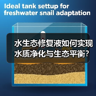 水生态修复液如何实现水质净化与生态平衡？（图4）