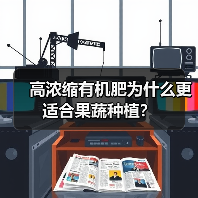 高浓缩有机肥为什么更适合果蔬种植?(图3) 高浓缩有机肥为什么更适合果蔬种植?(图3)