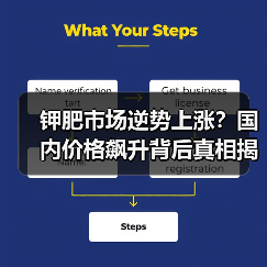 钾肥市场逆势上涨?国内价格飙升背后真相揭秘(图4) 钾肥市场逆势上涨?国内价格飙升背后真相揭秘(图4)