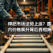 钾肥市场逆势上涨?国内价格飙升背后真相揭秘(图1) 钾肥市场逆势上涨?国内价格飙升背后真相揭秘(图1)