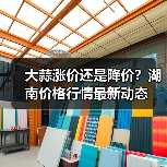 大蒜涨价还是降价?湖南价格行情最新动态 大蒜涨价还是降价?湖南价格行情最新动态
