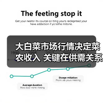 大白菜市场行情决定菜农收入 关键在供需关系(图3) 大白菜市场行情决定菜农收入 关键在供需关系(图3)
