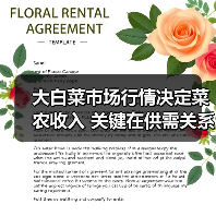 大白菜市场行情决定菜农收入 关键在供需关系(图2) 大白菜市场行情决定菜农收入 关键在供需关系(图2)