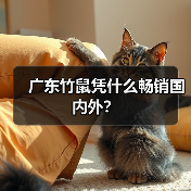 广东竹鼠凭什么畅销国内外?(图3) 广东竹鼠凭什么畅销国内外?(图3)