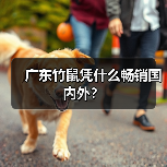 广东竹鼠凭什么畅销国内外?(图4) 广东竹鼠凭什么畅销国内外?(图4)