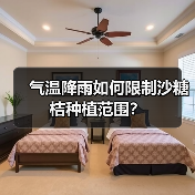 气温降雨如何限制沙糖桔种植范围?(图3) 气温降雨如何限制沙糖桔种植范围?(图3)
