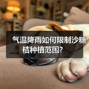 气温降雨如何限制沙糖桔种植范围?(图1) 气温降雨如何限制沙糖桔种植范围?(图1)