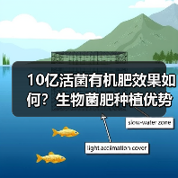 10亿活菌有机肥效果如何?生物菌肥种植优势解析(图2) 10亿活菌有机肥效果如何?生物菌肥种植优势解析(图2)