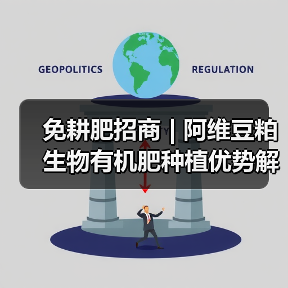 免耕肥招商 | 阿维豆粕生物有机肥种植优势解析(图2) 免耕肥招商 | 阿维豆粕生物有机肥种植优势解析(图2)