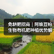 免耕肥招商 | 阿维豆粕生物有机肥种植优势解析(图1) 免耕肥招商 | 阿维豆粕生物有机肥种植优势解析(图1)
