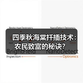 四季秋海棠扦插技术:农民致富的秘诀?(图1) 四季秋海棠扦插技术:农民致富的秘诀?(图1)