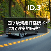 四季秋海棠扦插技术:农民致富的秘诀?(图4) 四季秋海棠扦插技术:农民致富的秘诀?(图4)