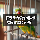 四季秋海棠扦插技术:农民致富的秘诀?(图3) 四季秋海棠扦插技术:农民致富的秘诀?(图3)