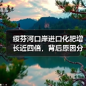 绥芬河口岸进口化肥增长近四倍,背后原因分析(图3) 绥芬河口岸进口化肥增长近四倍,背后原因分析(图3)