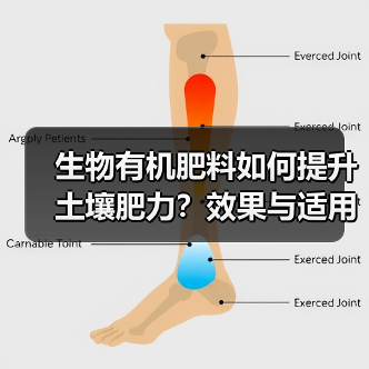 生物有机肥料如何提升土壤肥力?效果与适用范围全解析(图4) 生物有机肥料如何提升土壤肥力?效果与适用范围全解析(图4)
