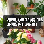 培肥地力型生物有机肥如何提升土壤质量?(图2) 培肥地力型生物有机肥如何提升土壤质量?(图2)