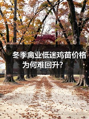 冬季禽业低迷:鸡苗价格跌至成本线下,销售受H7N9重创-辰飞 冬季禽业低迷:鸡苗价格跌至成本线下,销售受H7N9重创-辰飞