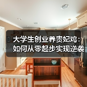 大学生创业养贵妃鸡,如何实现逆袭?-辰飞雨绿源新宇生物有机肥 大学生创业养贵妃鸡,如何实现逆袭?-辰飞雨绿源新宇生物有机肥