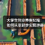 大学生创业养贵妃鸡:如何从零起步实现逆袭?(图2) 大学生创业养贵妃鸡:如何从零起步实现逆袭?(图2)