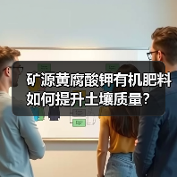 矿源黄腐酸钾有机肥料如何提升土壤质量？（图4）