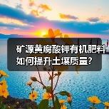 矿源黄腐酸钾有机肥料如何提升土壤质量？（图2）