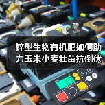 锌型生物有机肥如何助力玉米小麦壮苗抗倒伏？（图2）