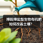 降酸降盐型生物有机肥如何改善土壤?(图1) 降酸降盐型生物有机肥如何改善土壤?(图1)