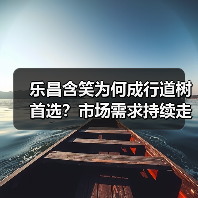 乐昌含笑为何成行道树首选?市场需求持续走高(图3) 乐昌含笑为何成行道树首选?市场需求持续走高(图3)