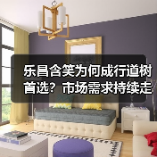 乐昌含笑成行道树优选,市场需求旺盛引关注-辰飞雨绿源新宇生物 乐昌含笑成行道树优选,市场需求旺盛引关注-辰飞雨绿源新宇生物