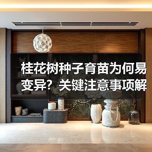 桂花树种子育苗为何易变异?关键注意事项解析(图4) 桂花树种子育苗为何易变异?关键注意事项解析(图4)