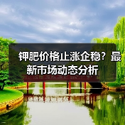 钾肥价格止涨企稳?最新市场动态分析(图2) 钾肥价格止涨企稳?最新市场动态分析(图2)