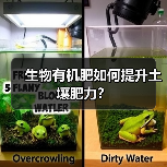 生物有机肥如何提升土壤肥力?(图4) 生物有机肥如何提升土壤肥力?(图4)