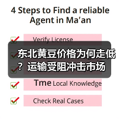 东北黄豆价格为何走低?运输受阻冲击市场(图1) 东北黄豆价格为何走低?运输受阻冲击市场(图1)