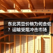 东北黄豆价格为何走低?运输受阻冲击市场(图3) 东北黄豆价格为何走低?运输受阻冲击市场(图3)