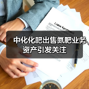 中化化肥出售氮肥业务资产引发关注(图4) 中化化肥出售氮肥业务资产引发关注(图4)