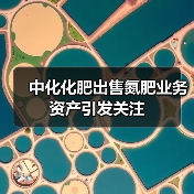 中化化肥出售氮肥业务资产引发关注(图2) 中化化肥出售氮肥业务资产引发关注(图2)