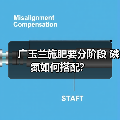 广玉兰施肥要分阶段 磷氮如何搭配?(图2) 广玉兰施肥要分阶段 磷氮如何搭配?(图2)